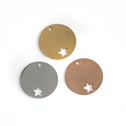 RVS Hondenpenning Rond 20 mm met Sterretje